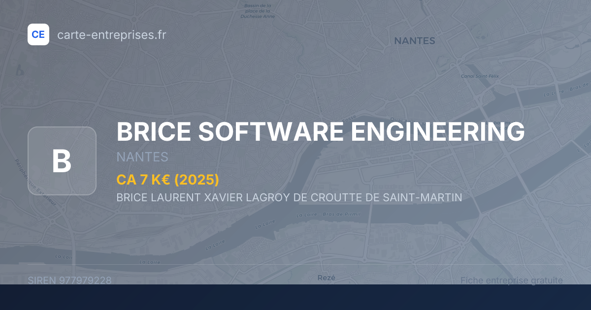 BRICE SOFTWARE ENGINEERING — 977979228 — fiche entreprise