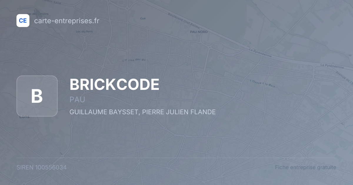 BRICKCODE — 100556034 — fiche entreprise