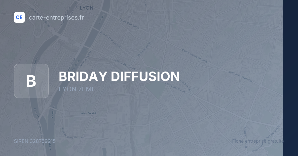 BRIDAY DIFFUSION — 328759915 — fiche entreprise