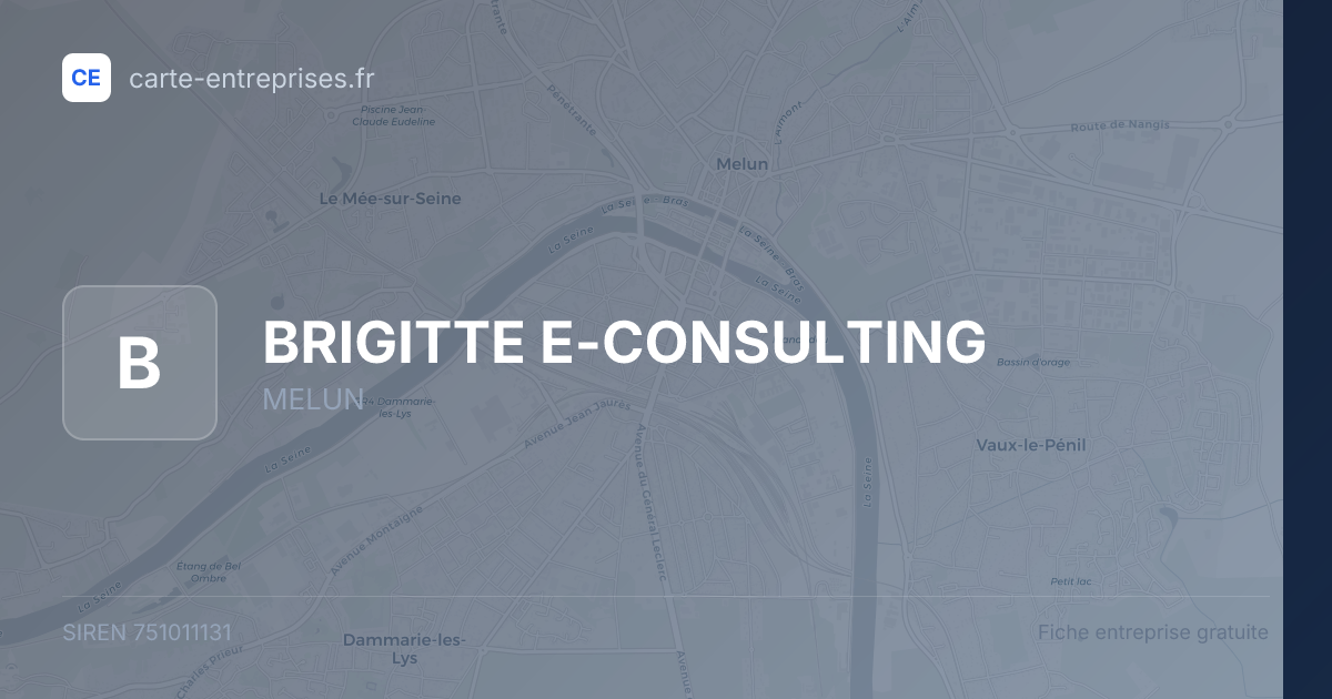 BRIGITTE E-CONSULTING — 751011131 — fiche entreprise