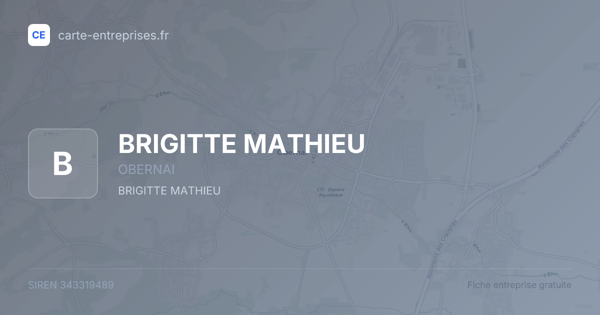 BRIGITTE MATHIEU — 343319489 — fiche entreprise