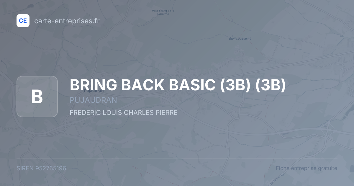 BRING BACK BASIC (3B) (3B) — 952765196 — fiche entreprise