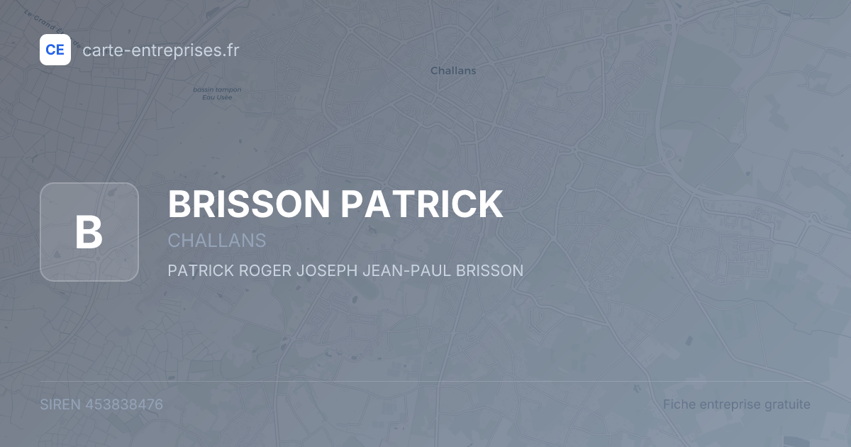 BRISSON PATRICK — 453838476 — fiche entreprise