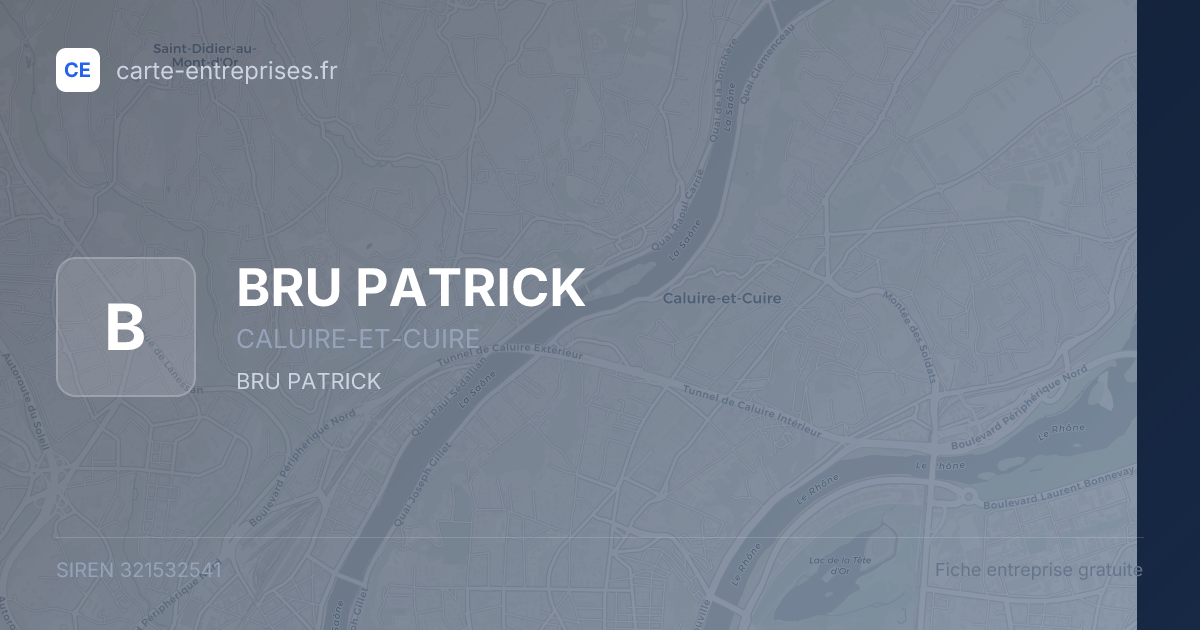BRU PATRICK — 321532541 — fiche entreprise