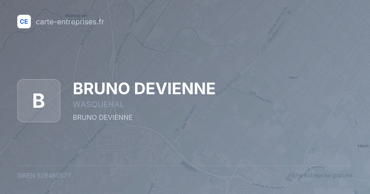 BRUNO DEVIENNE — 528480577 — fiche entreprise
