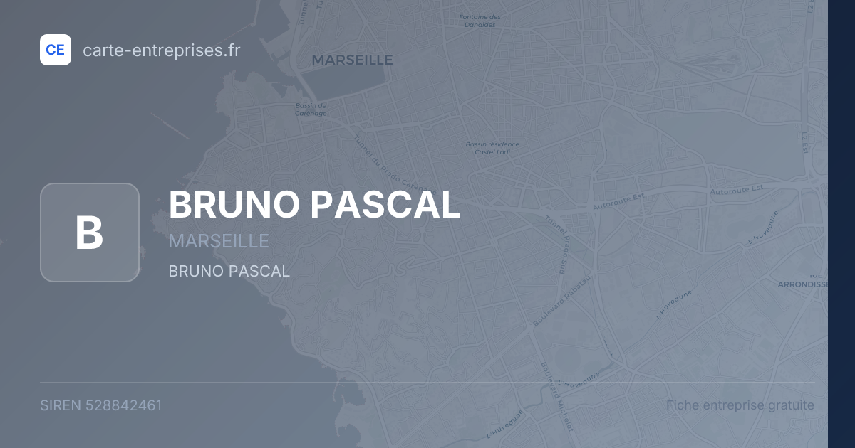 BRUNO PASCAL — 528842461 — fiche entreprise