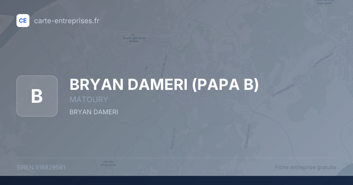 BRYAN DAMERI (PAPA B) — 918829581 — fiche entreprise