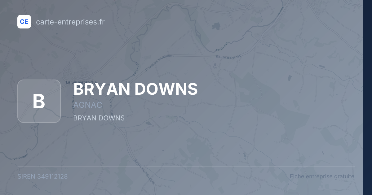 BRYAN DOWNS — 349112128 — fiche entreprise