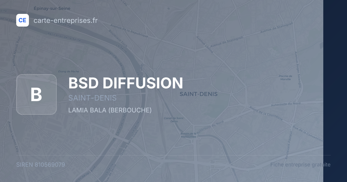 BSD DIFFUSION — 810569079 — fiche entreprise