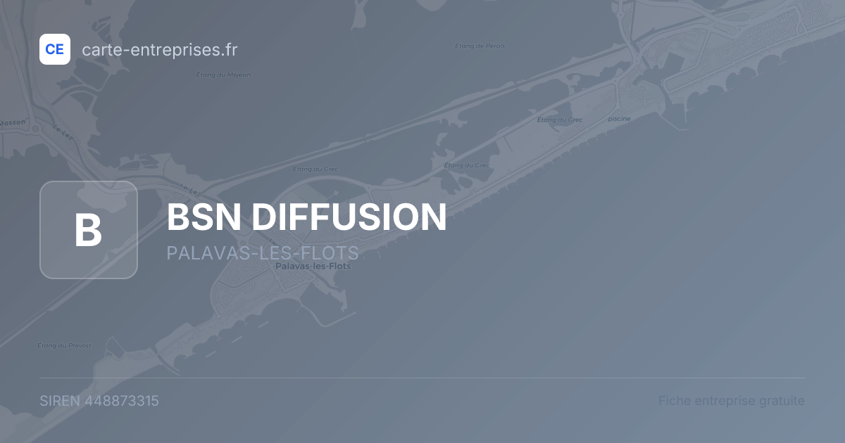 BSN DIFFUSION — 448873315 — fiche entreprise
