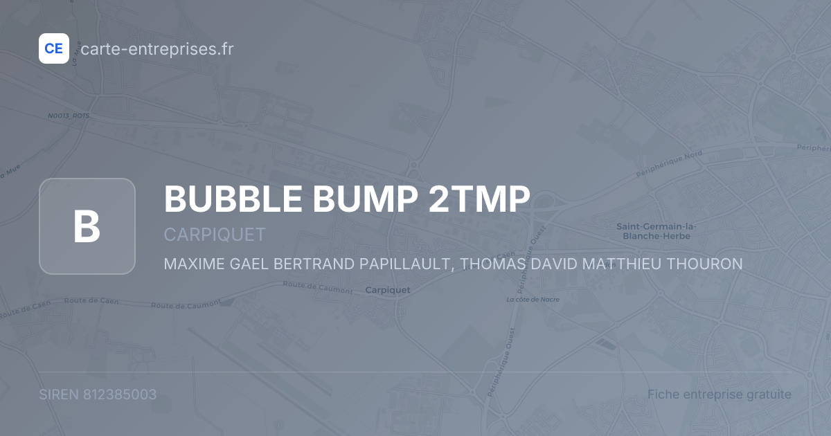 BUBBLE BUMP 2TMP — 812385003 — fiche entreprise