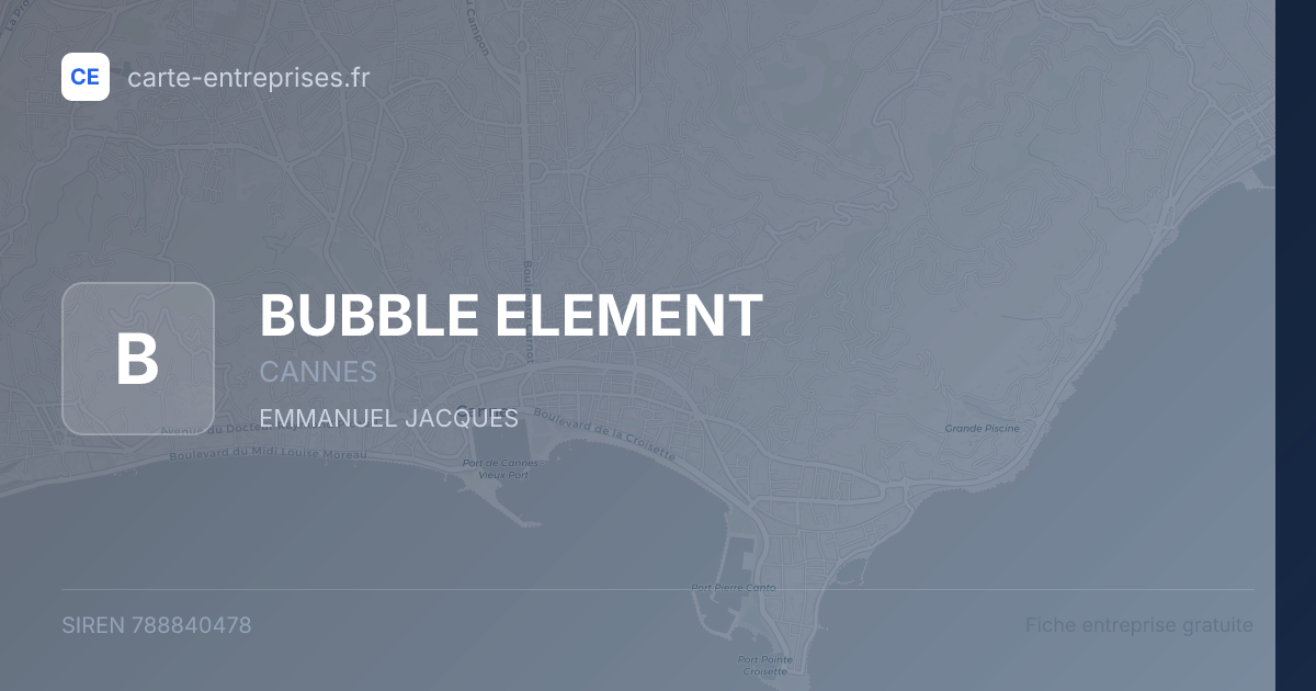 BUBBLE ELEMENT — 788840478 — fiche entreprise