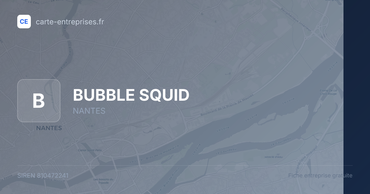 BUBBLE SQUID — 810472241 — fiche entreprise
