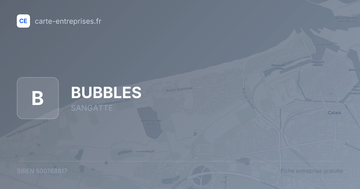 BUBBLES — 500768817 — fiche entreprise