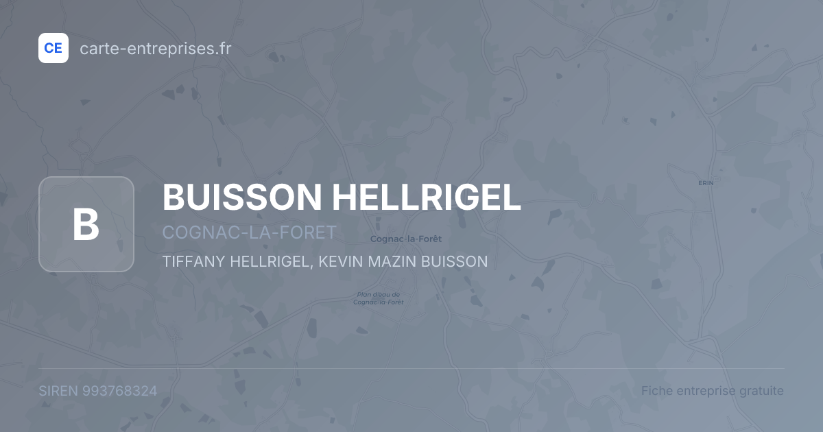 BUISSON HELLRIGEL — 993768324 — fiche entreprise