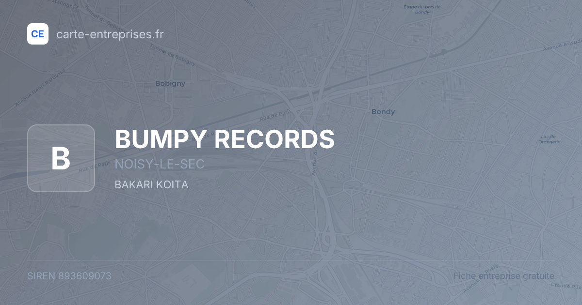 BUMPY RECORDS — 893609073 — fiche entreprise