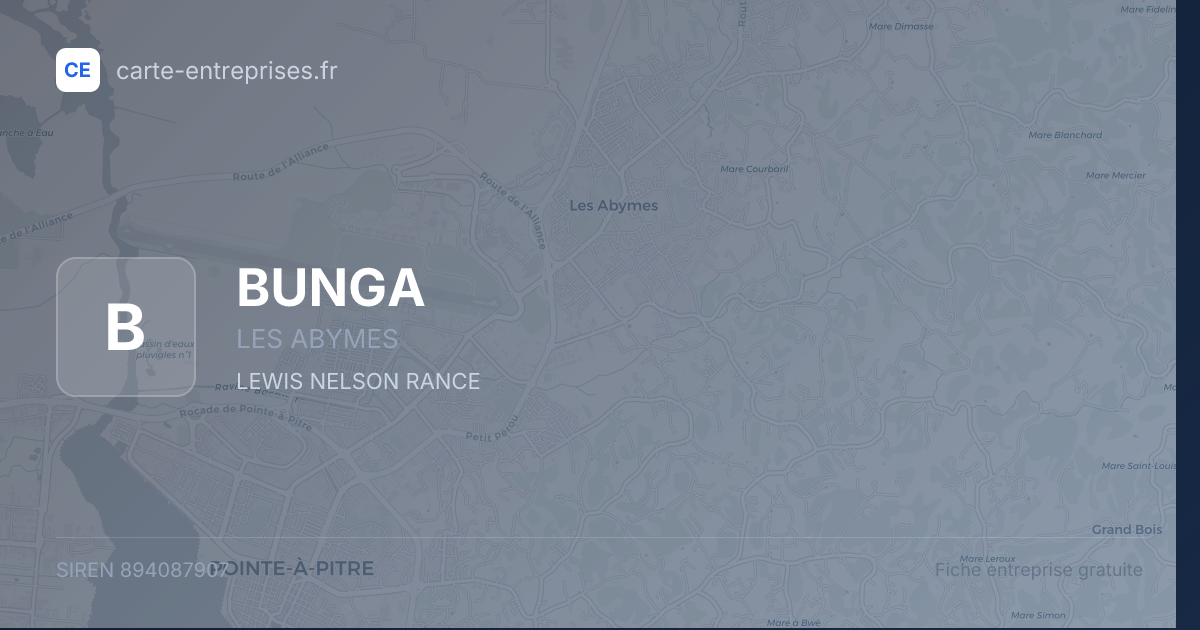 BUNGA — 894087907 — fiche entreprise