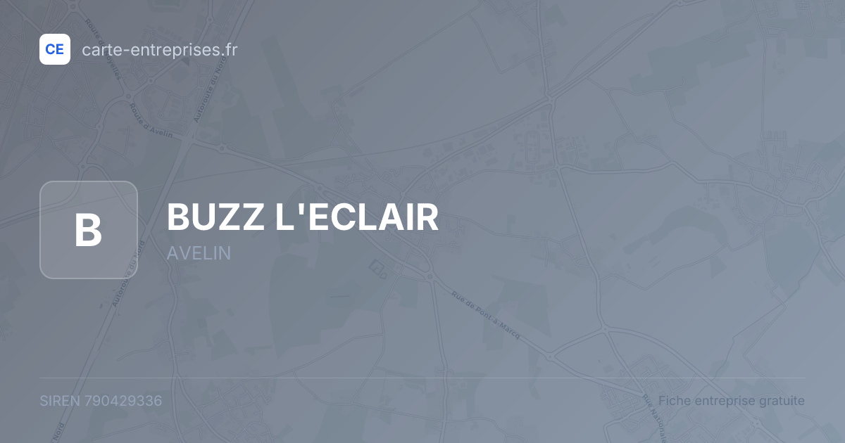 BUZZ L'ECLAIR — 790429336 — fiche entreprise