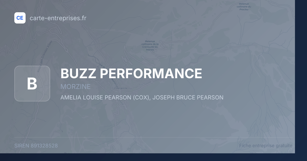 BUZZ PERFORMANCE — 891328528 — fiche entreprise