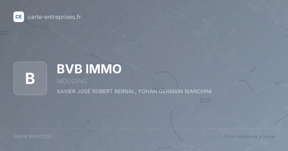 BVB IMMO — 981910367 — fiche entreprise