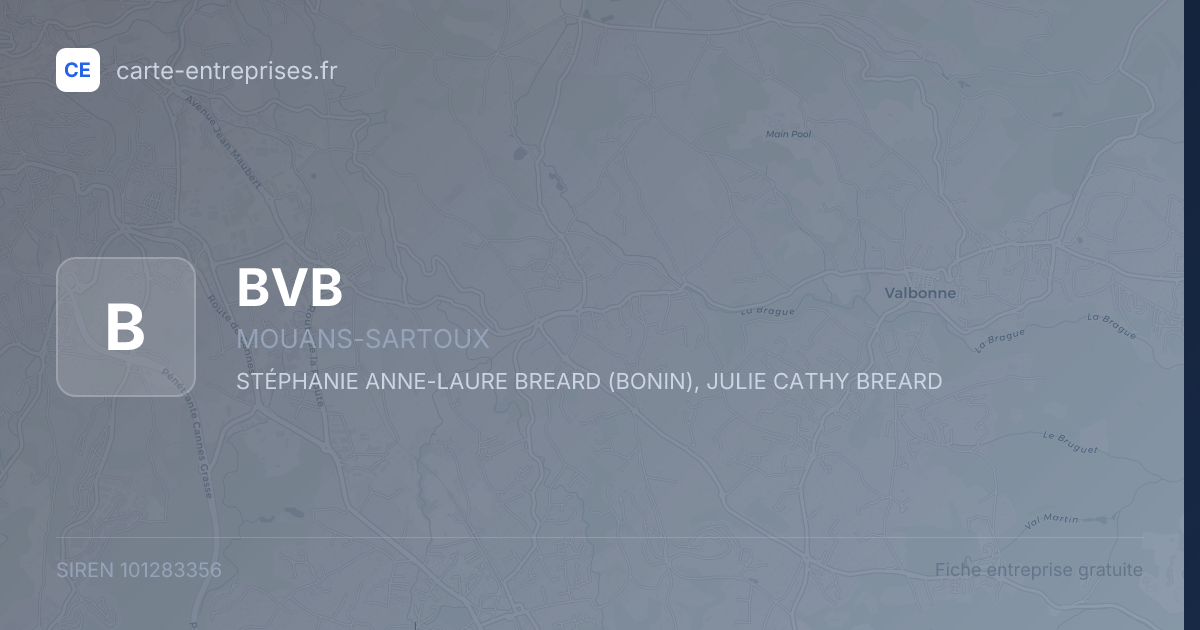 BVB — 101283356 — fiche entreprise