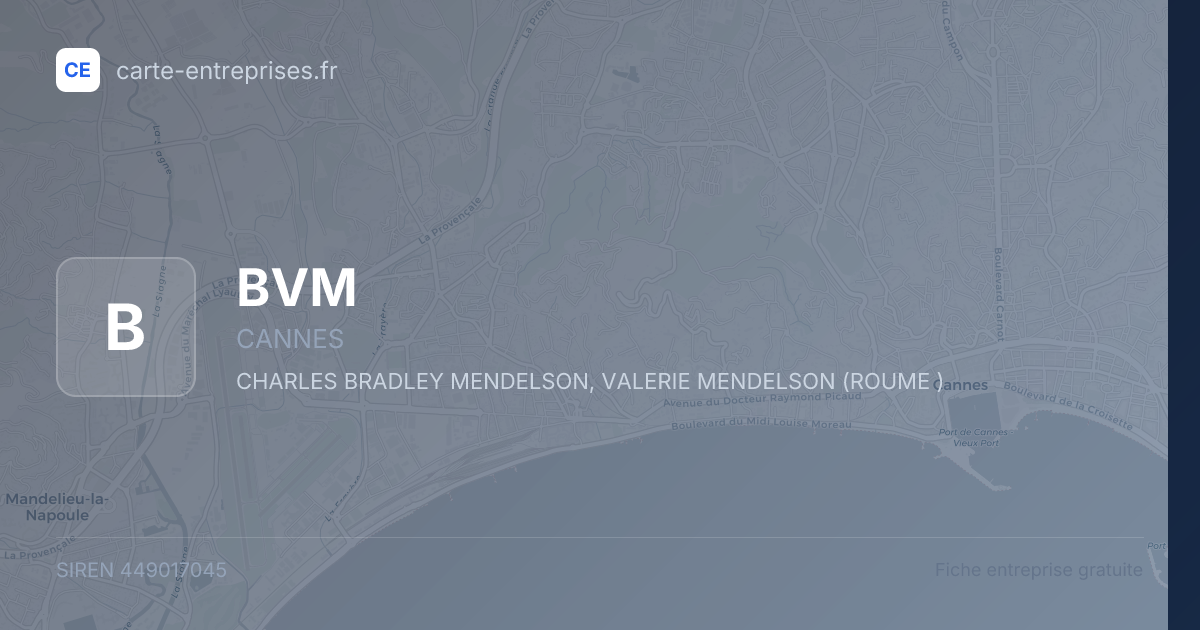 BVM — 449017045 — fiche entreprise