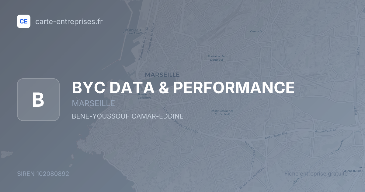 BYC DATA & PERFORMANCE — 102080892 — fiche entreprise