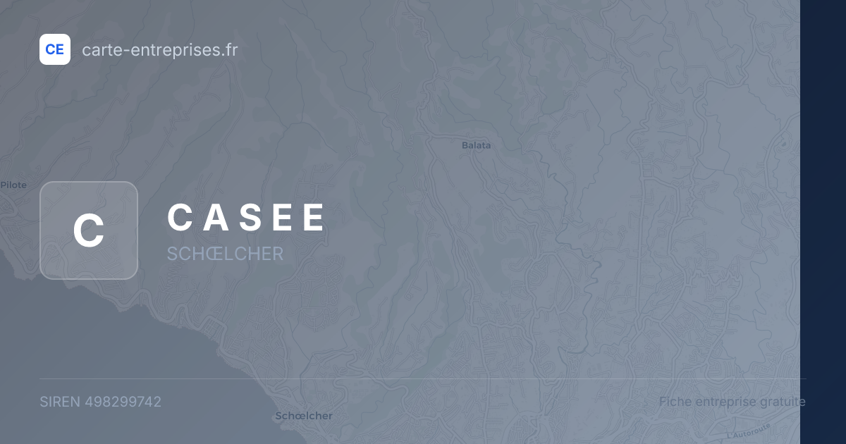 C A S E E — 498299742 — fiche entreprise