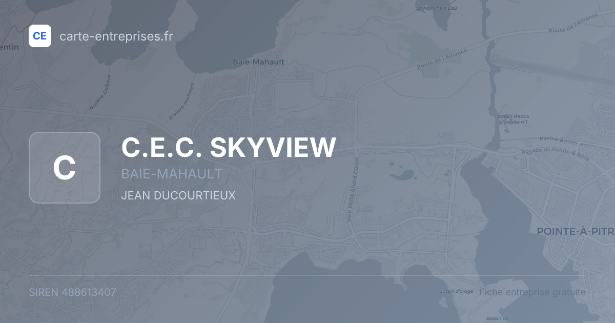 C.E.C. SKYVIEW — 488613407 — fiche entreprise