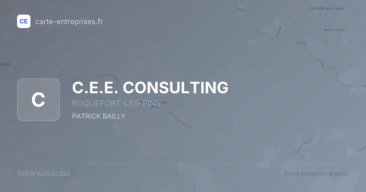C.E.E. CONSULTING — 829592385 — fiche entreprise
