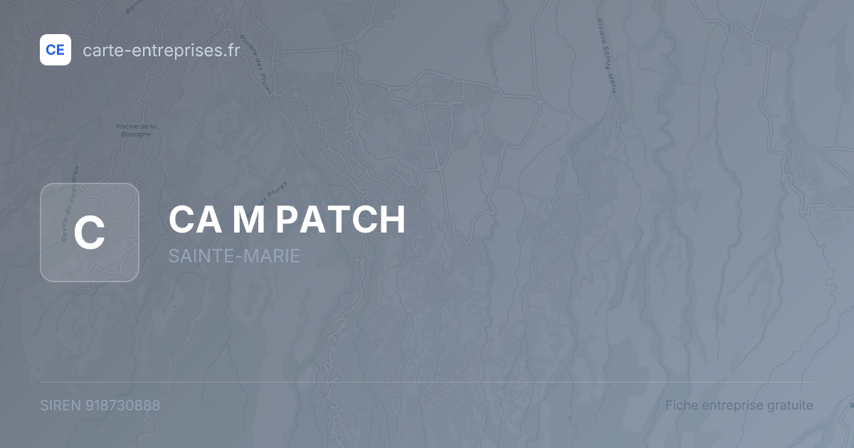 CA M PATCH — 918730888 — fiche entreprise