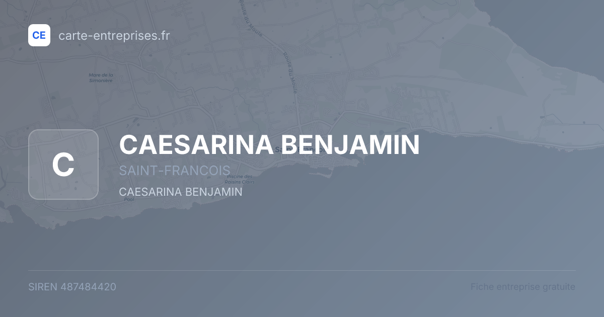 CAESARINA BENJAMIN — 487484420 — fiche entreprise