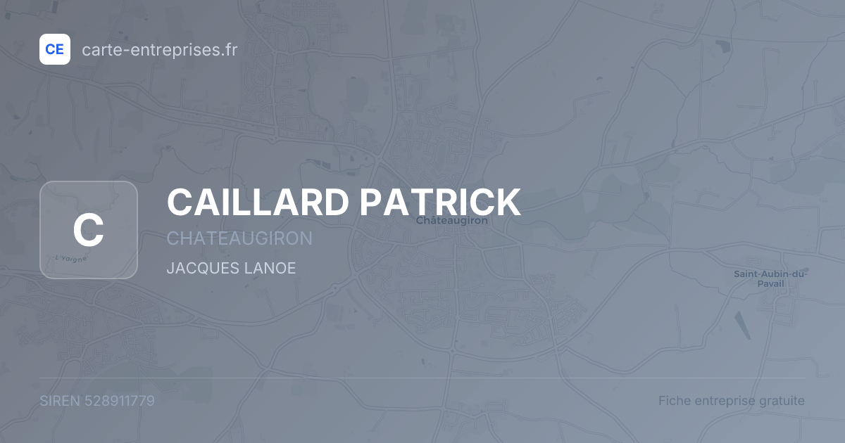 CAILLARD PATRICK — 528911779 — fiche entreprise