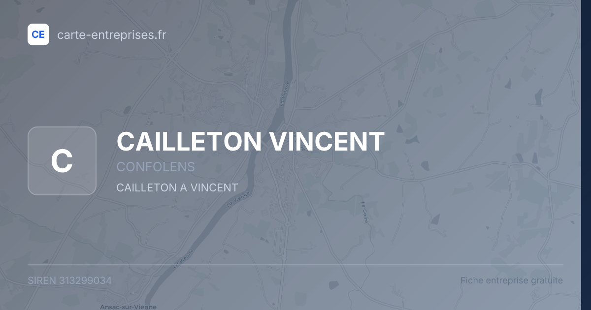 CAILLETON VINCENT — 313299034 — fiche entreprise