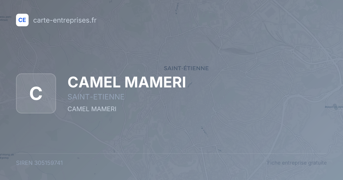 CAMEL MAMERI — 305159741 — fiche entreprise