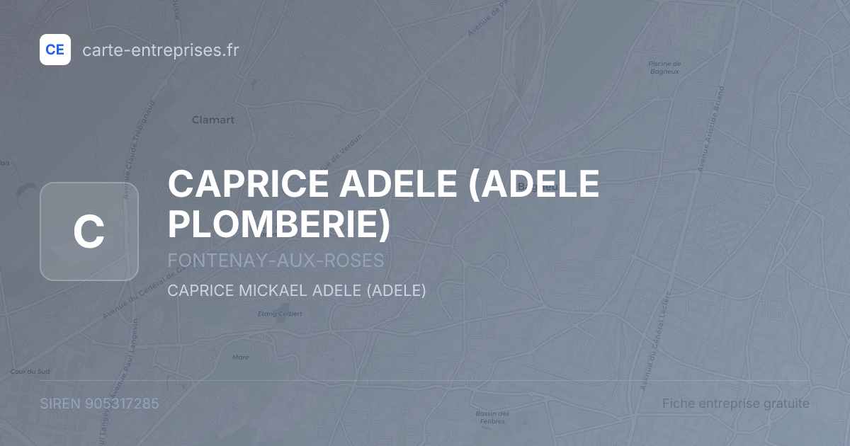 CAPRICE ADELE (ADELE PLOMBERIE) — 905317285 — fiche entreprise