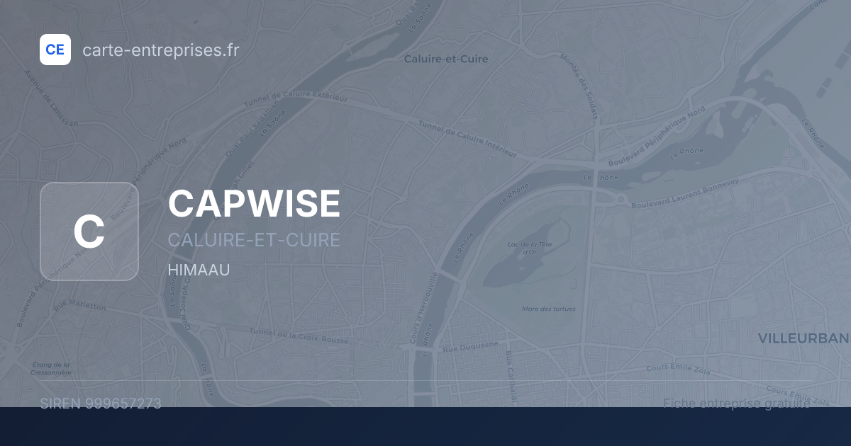 CAPWISE — 999657273 — fiche entreprise
