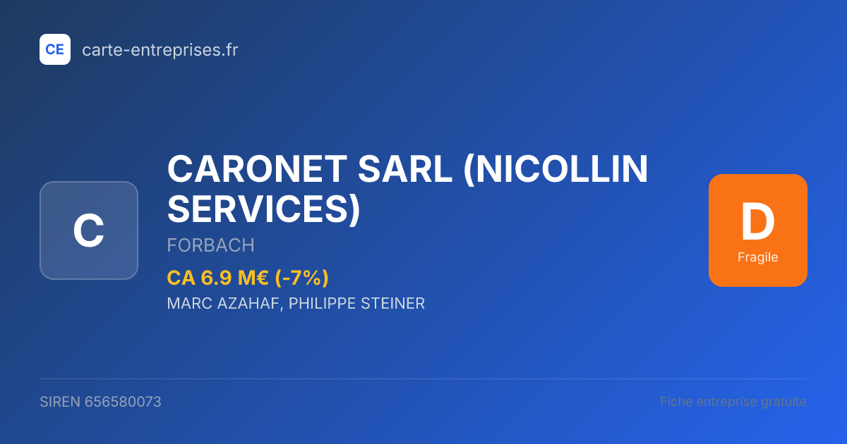 CARONET SARL (NICOLLIN SERVICES) — 656580073 — fiche entreprise