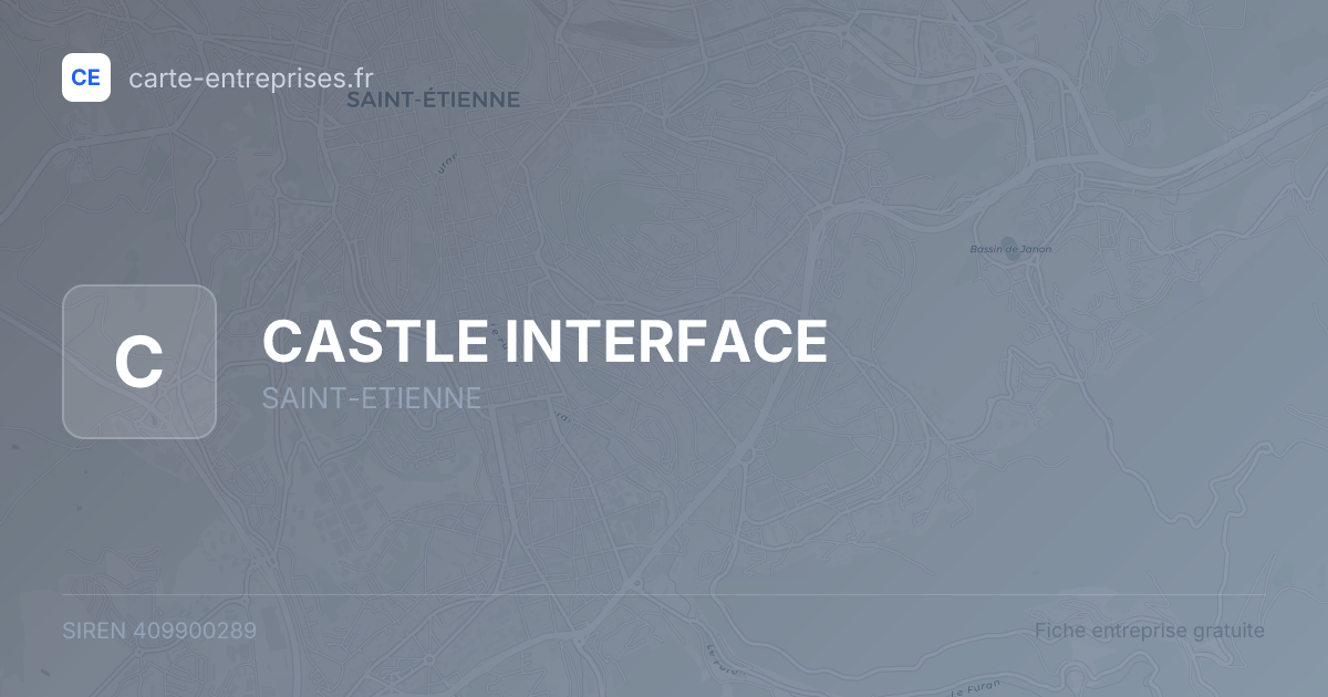 CASTLE INTERFACE — 409900289 — fiche entreprise