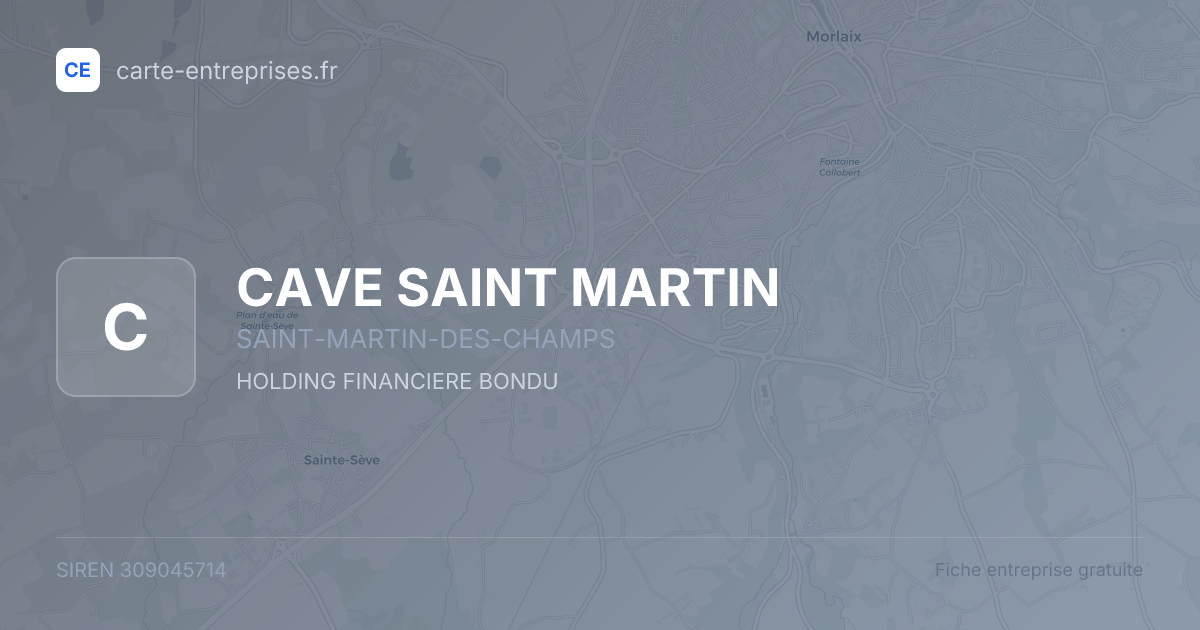 CAVE SAINT MARTIN — 309045714 — fiche entreprise
