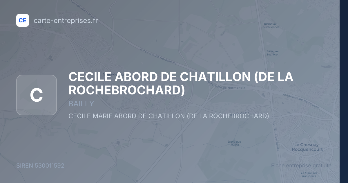 CECILE ABORD DE CHATILLON (DE LA ROCHEBROCHARD) — 530011592 — fiche entreprise