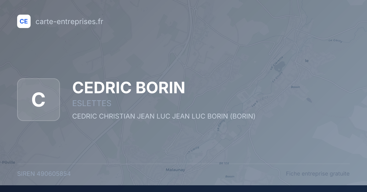 CEDRIC BORIN — 490605854 — fiche entreprise