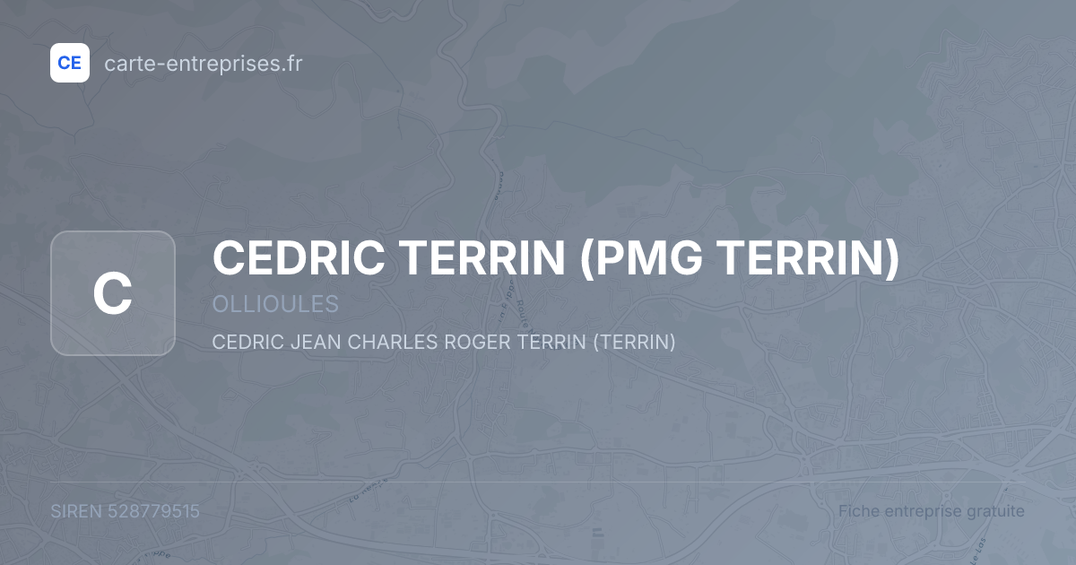 CEDRIC TERRIN (PMG TERRIN) — 528779515 — fiche entreprise