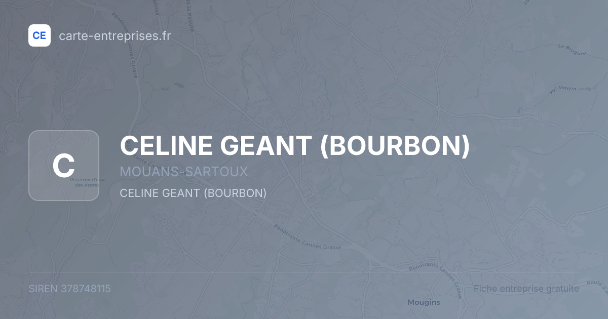 CELINE GEANT (BOURBON) — 378748115 — fiche entreprise