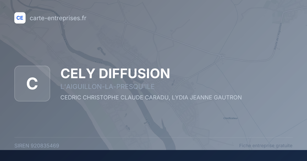 CELY DIFFUSION — 920835469 — fiche entreprise