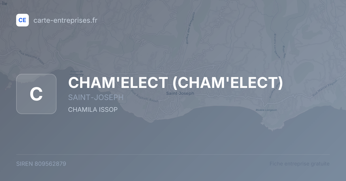 CHAM'ELECT — 809562879 — fiche entreprise