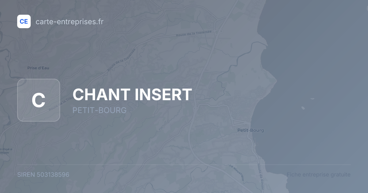 CHANT INSERT — 503138596 — fiche entreprise