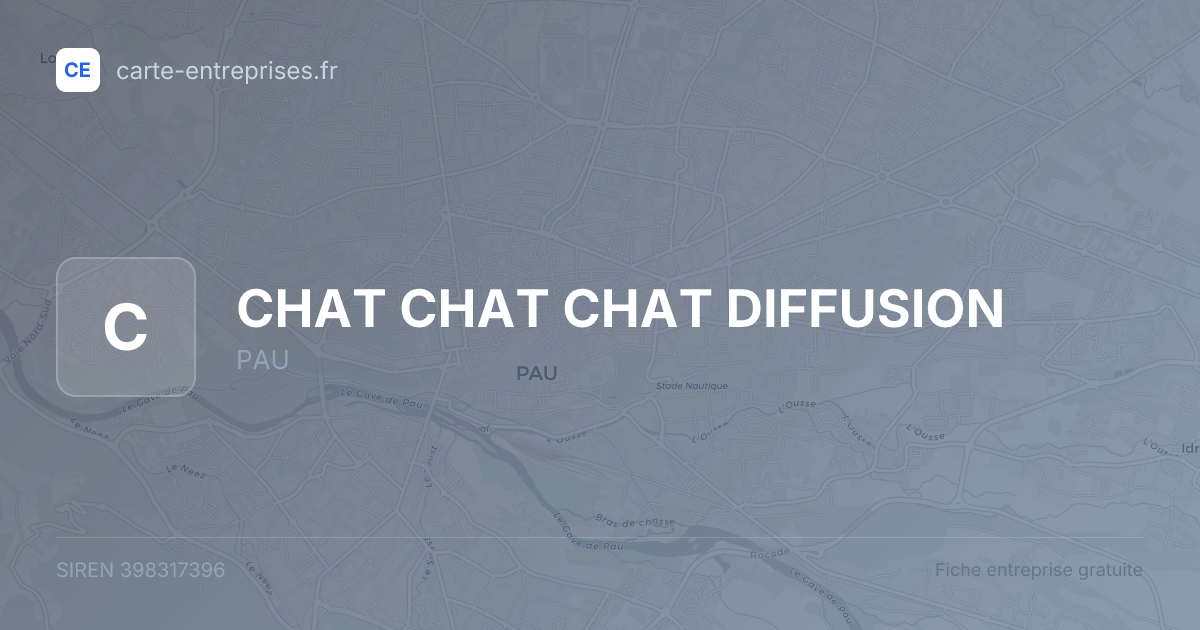 CHAT CHAT CHAT DIFFUSION — 398317396 — fiche entreprise