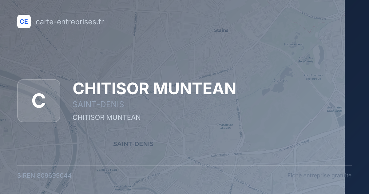 CHITISOR MUNTEAN — 809699044 — fiche entreprise