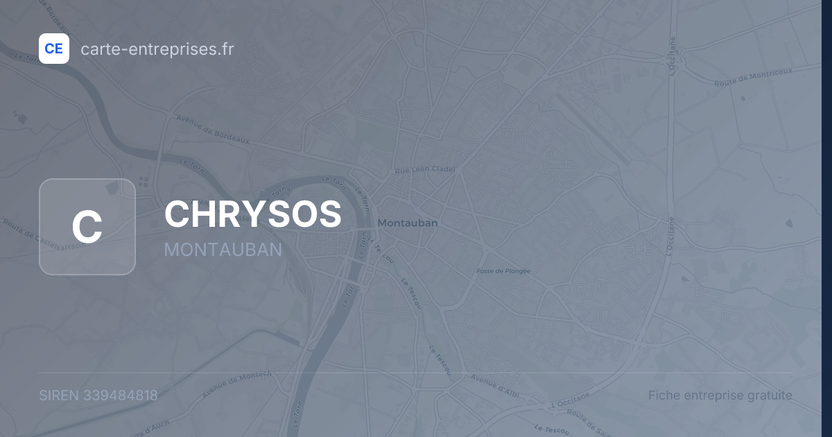 CHRYSOS — 339484818 — fiche entreprise